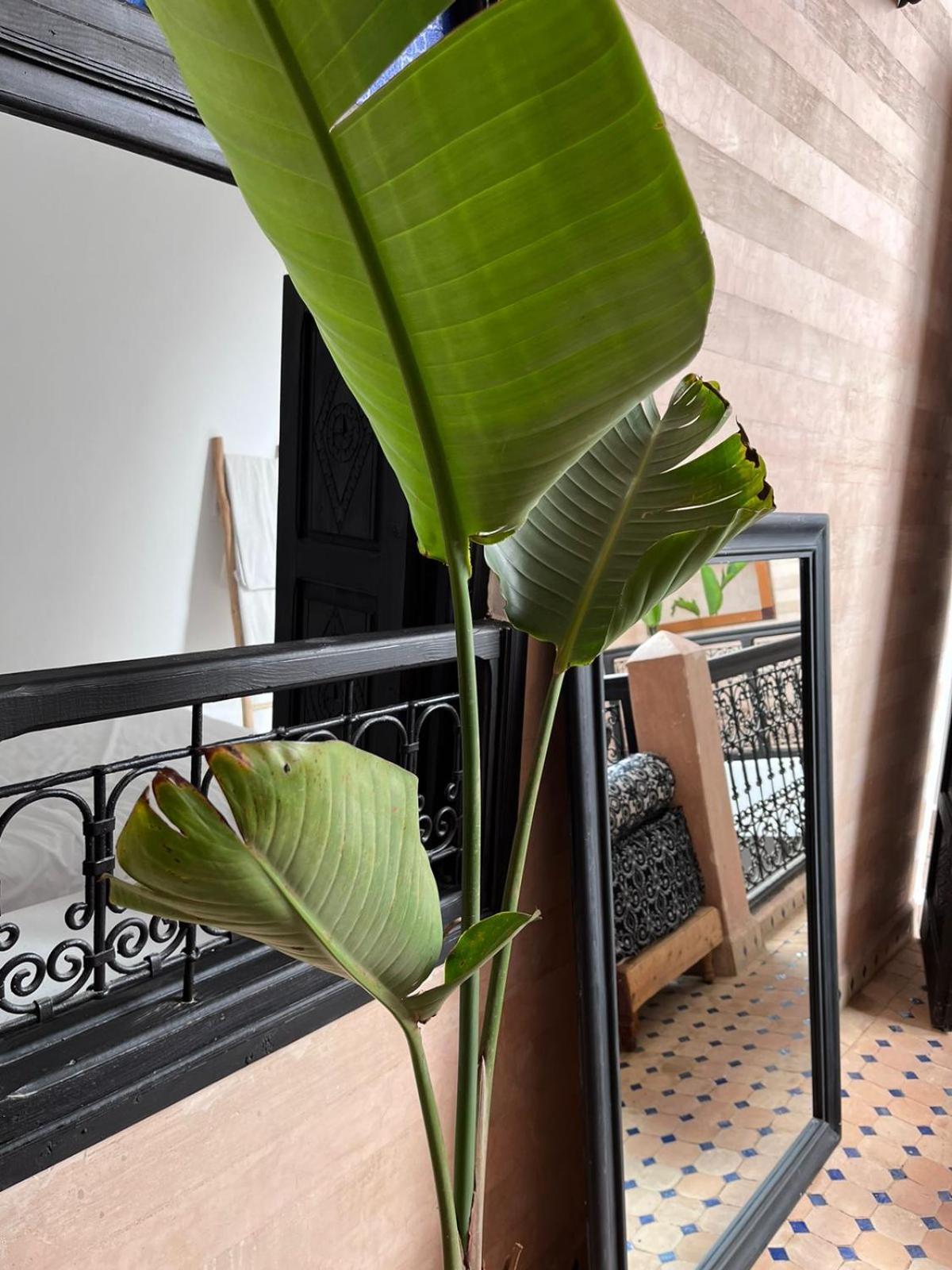 Riad Black Doors Маракеш Екстериор снимка