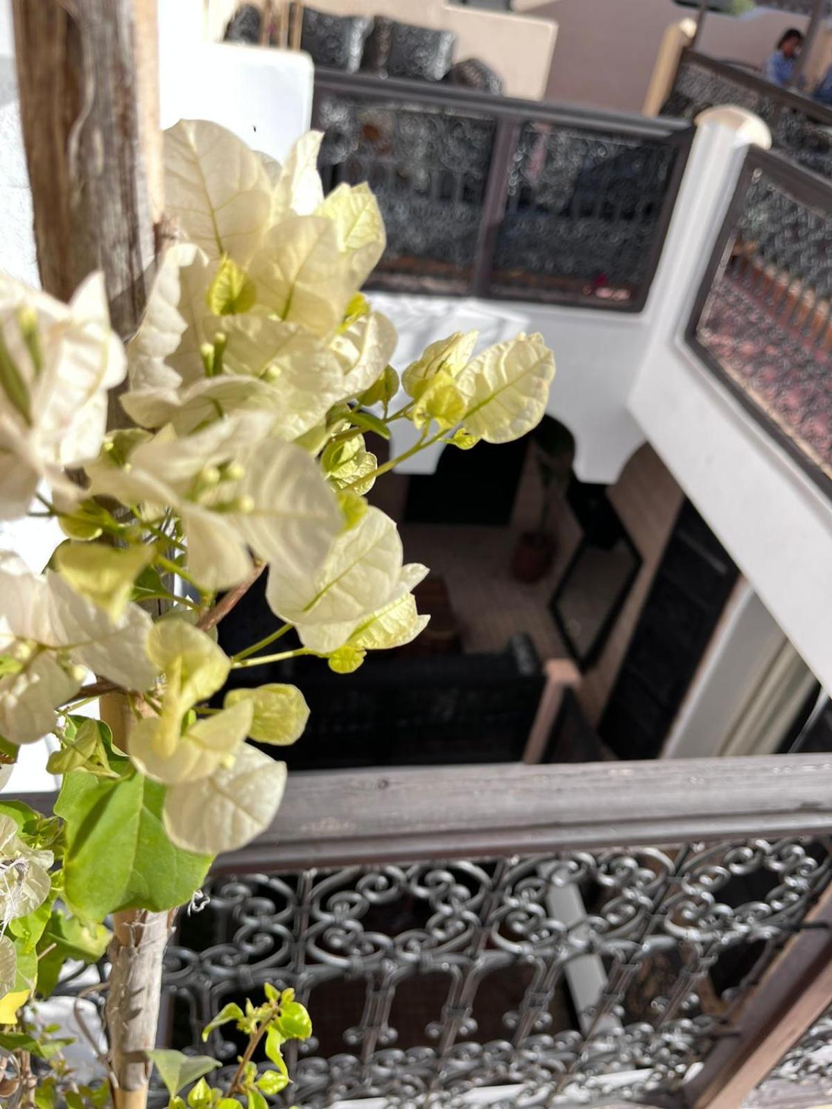 Riad Black Doors Маракеш Екстериор снимка